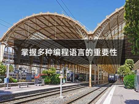 掌握多种编程语言的重要性