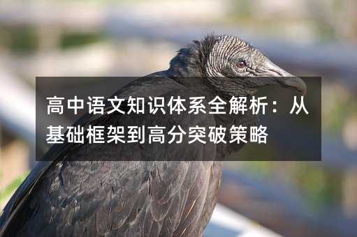 ��������֪ʶ��ϵȫ�������ӻ�����ܵ��߷�ͻ�Ʋ���