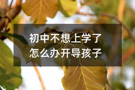 ���в�����ѧ����ô�쿪������