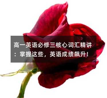 高一英语必修三核心词汇精讲:掌握这些,英语成绩飙升!