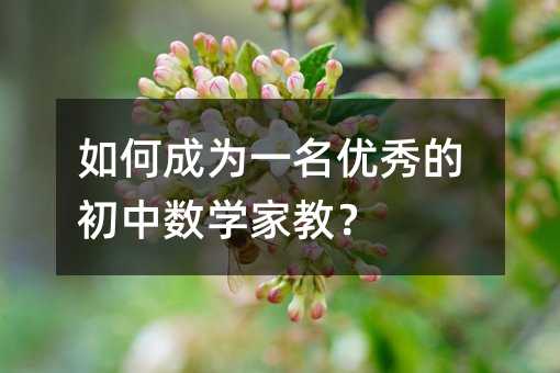 如何成为一名优秀的初中数学家教?
