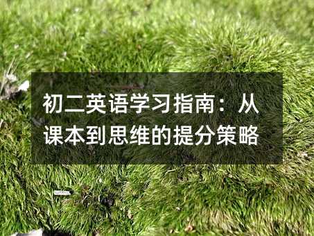 Ӣѧϰָϣӿα˼άֲ