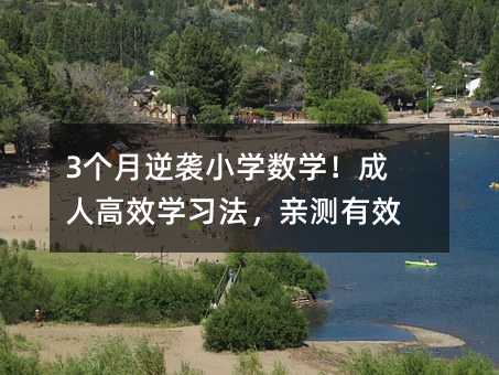 3个月逆袭小学数学!成人高效学习法,亲测有效