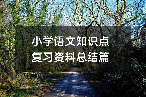 小学语文知识点复习资料总结篇
