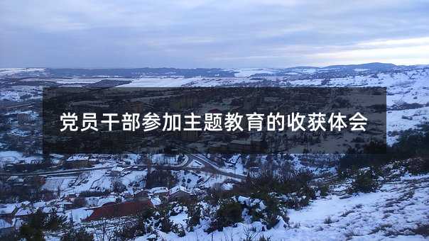 党员干部参加主题教育的收获体会