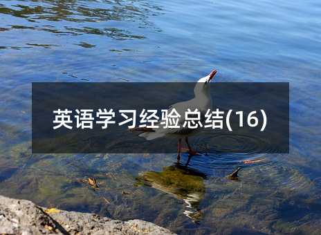 英语学习经验总结(16)