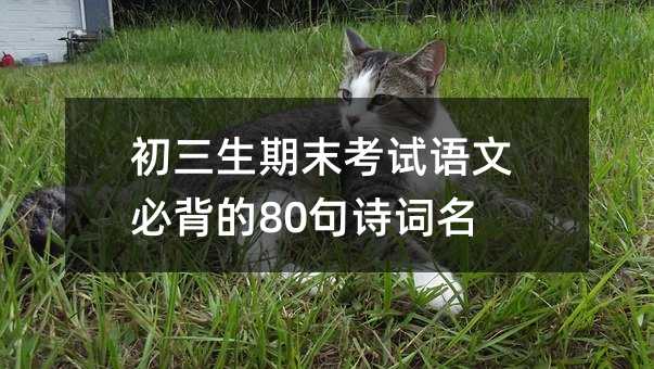 初三生期末考试语文必背的80句诗词名句