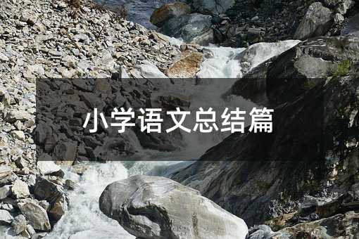 小学语文总结篇