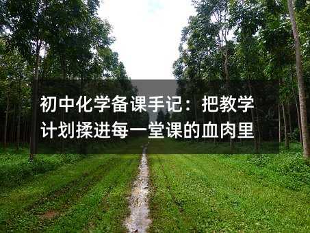 ³õÖл¯Ñ§±¸¿ÎÊּǣº°Ñ½Ìѧ¼Æ»®Èà½øÃ¿Ò»ÌÿεÄѪÈâÀï