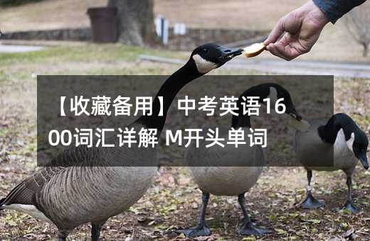 ���ղر��á��п�Ӣ��1600�ʻ���� M��ͷ����ϵ��