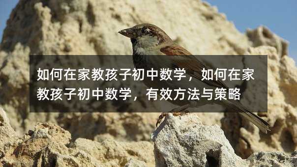 如何在家教孩子初中数学,如何在家教孩子初中数学,有效方法与策略