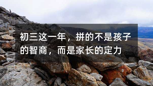 ������һ�꣬ƴ�Ĳ��Ǻ��ӵ����̣����Ǽҳ��Ķ���