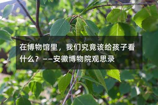 �ڲ��������Ǿ����ø����ӿ�ʲô���������ղ���Ժ��˼¼