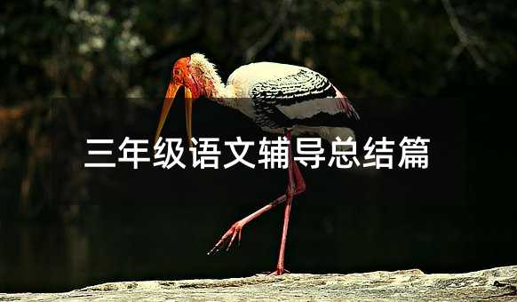 三年级语文辅导总结篇