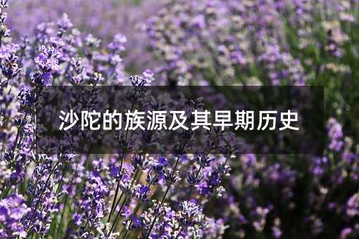 沙陀的族源及其早期历史