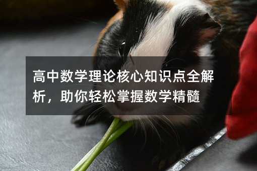 高中数学理论核心知识点全解析,助你轻松掌握数学精髓