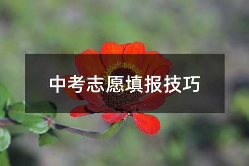 �п�־Ը�����