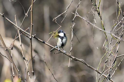 北大博士:假如大学可以重来 我一定这样上