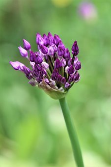 湖北省襄阳四中等2015届高三10月四校联考地理