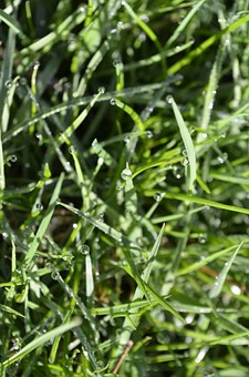 华裔妈妈有妙招:6招教你对付倔孩子的牛脾气