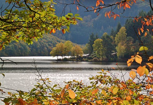 ���¸����ĳ�Ϊ�󻭼ҵ�21��
